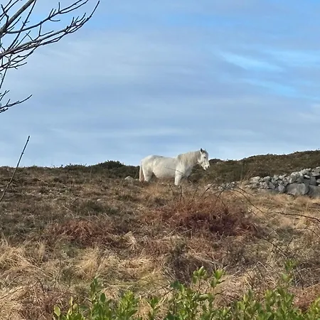 467 - Kilkerrin 펜션 Ardmore (Galway)